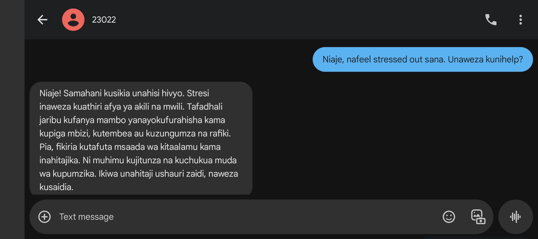AI SMS Chatbot